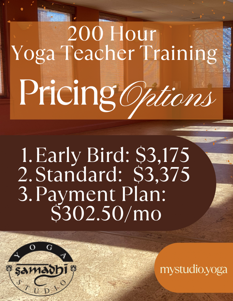 Orange and Black Vintage Black Friday Promo Flyer (4)